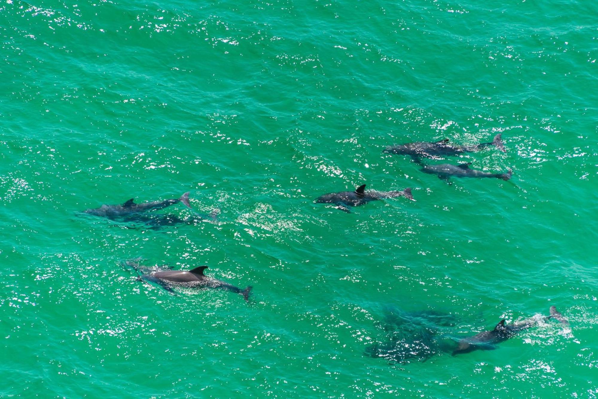 Aqua Resort 1705 Panama City Beach Bagian luar foto